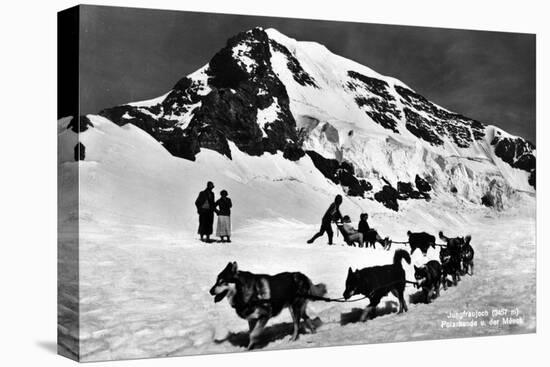 Switzerland - Dogsledding at Jungfraujoch-Lantern Press-Stretched Canvas