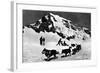 Switzerland - Dogsledding at Jungfraujoch-Lantern Press-Framed Art Print