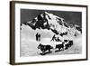 Switzerland - Dogsledding at Jungfraujoch-Lantern Press-Framed Art Print