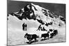 Switzerland - Dogsledding at Jungfraujoch-Lantern Press-Mounted Art Print