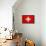 Switzerland Flag Design with Wood Patterning - Flags of the World Series-Philippe Hugonnard-Framed Stretched Canvas displayed on a wall