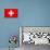 Switzerland Flag Design with Wood Patterning - Flags of the World Series-Philippe Hugonnard-Stretched Canvas displayed on a wall