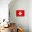 Switzerland Flag Design with Wood Patterning - Flags of the World Series-Philippe Hugonnard-Stretched Canvas displayed on a wall