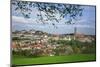 Switzerland, Fribourg on the Sarine River-Uwe Steffens-Mounted Photographic Print