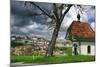 Switzerland, Fribourg on the Sarine River-Uwe Steffens-Mounted Photographic Print