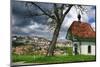 Switzerland, Fribourg on the Sarine River-Uwe Steffens-Mounted Photographic Print