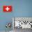 Switzerland National Flag Poster Print-null-Poster displayed on a wall