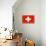 Switzerland National Flag Poster Print-null-Poster displayed on a wall