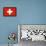 Switzerland National Flag Poster Print-null-Framed Poster displayed on a wall