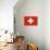 Switzerland National Flag Poster Print-null-Mounted Poster displayed on a wall