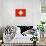 Switzerland National Flag-null-Mounted Art Print displayed on a wall