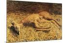 Wood Mount