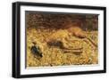 Black Frame