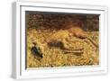 White Frame