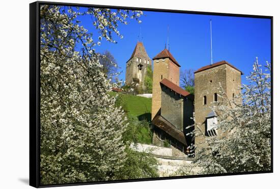 Switzerland, Spring in Fribourg on the Sarine River, Cats Tower and Berne Gate-Uwe Steffens-Framed Stretched Canvas