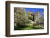 Switzerland, Spring in Fribourg on the Sarine River, Cats Tower and Berne Gate-Uwe Steffens-Framed Photographic Print