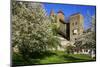 Switzerland, Spring in Fribourg on the Sarine River, Cats Tower and Berne Gate-Uwe Steffens-Mounted Photographic Print