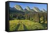 Switzerland, St. Gallen, Chur Prince, Alpine Grassland, Lanes-Rainer Mirau-Framed Stretched Canvas