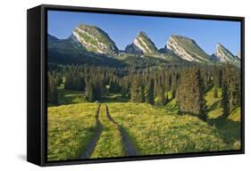 Switzerland, St. Gallen, Chur Prince, Alpine Grassland, Lanes-Rainer Mirau-Framed Stretched Canvas