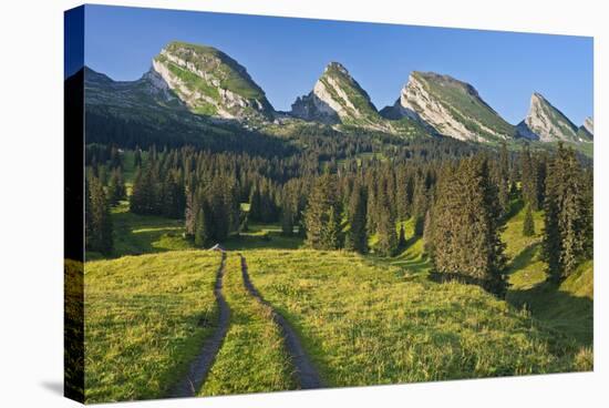 Switzerland, St. Gallen, Chur Prince, Alpine Grassland, Lanes-Rainer Mirau-Stretched Canvas