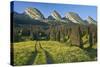 Switzerland, St. Gallen, Chur Prince, Alpine Grassland, Lanes-Rainer Mirau-Stretched Canvas