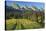 Switzerland, St. Gallen, Chur Prince, Alpine Grassland, Lanes-Rainer Mirau-Stretched Canvas