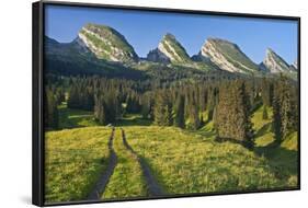 Switzerland, St. Gallen, Chur Prince, Alpine Grassland, Lanes-Rainer Mirau-Framed Photographic Print