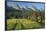 Switzerland, St. Gallen, Chur Prince, Alpine Grassland, Lanes-Rainer Mirau-Framed Photographic Print