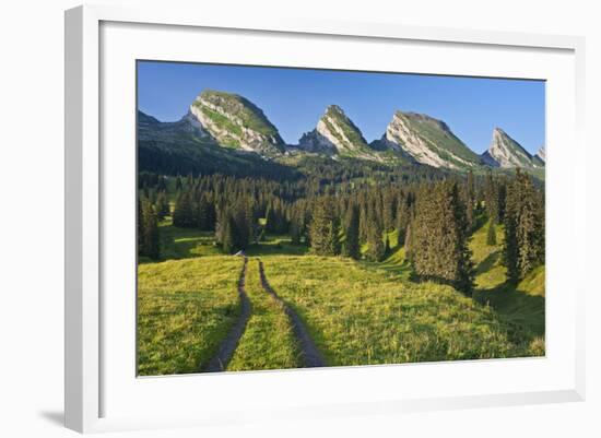 Switzerland, St. Gallen, Chur Prince, Alpine Grassland, Lanes-Rainer Mirau-Framed Photographic Print