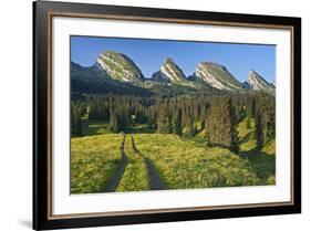 Switzerland, St. Gallen, Chur Prince, Alpine Grassland, Lanes-Rainer Mirau-Framed Photographic Print