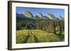 Switzerland, St. Gallen, Chur Prince, Alpine Grassland, Lanes-Rainer Mirau-Framed Photographic Print