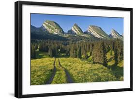 Switzerland, St. Gallen, Chur Prince, Alpine Grassland, Lanes-Rainer Mirau-Framed Photographic Print