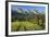 Switzerland, St. Gallen, Chur Prince, Alpine Grassland, Lanes-Rainer Mirau-Framed Photographic Print