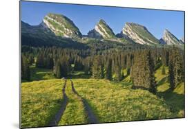 Switzerland, St. Gallen, Chur Prince, Alpine Grassland, Lanes-Rainer Mirau-Mounted Photographic Print