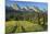 Switzerland, St. Gallen, Chur Prince, Alpine Grassland, Lanes-Rainer Mirau-Mounted Photographic Print