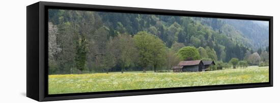 Switzerland, the Bernese Oberland, Farm House in Spring-Andreas Keil-Framed Stretched Canvas