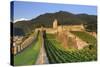 Switzerland, Ticino, Bellinzona, Castelgrande-Michele Falzone-Stretched Canvas