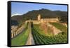 Switzerland, Ticino, Bellinzona, Castelgrande-Michele Falzone-Framed Stretched Canvas