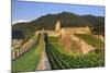 Switzerland, Ticino, Bellinzona, Castelgrande-Michele Falzone-Mounted Photographic Print