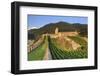 Switzerland, Ticino, Bellinzona, Castelgrande-Michele Falzone-Framed Photographic Print