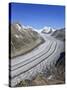 Switzerland, Valais, Jungfrau Region, Aletsch Glacier from Mt; Eggishorn (Unesco Site)-Michele Falzone-Stretched Canvas