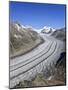 Switzerland, Valais, Jungfrau Region, Aletsch Glacier from Mt; Eggishorn (Unesco Site)-Michele Falzone-Mounted Photographic Print