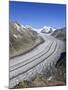 Switzerland, Valais, Jungfrau Region, Aletsch Glacier from Mt; Eggishorn (Unesco Site)-Michele Falzone-Mounted Photographic Print