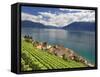 Switzerland, Vaud, Lavaux Vineyards, St; Saphorin Village and Lac Leman / Lake Geneva-Michele Falzone-Framed Stretched Canvas