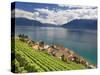 Switzerland, Vaud, Lavaux Vineyards, St; Saphorin Village and Lac Leman / Lake Geneva-Michele Falzone-Stretched Canvas