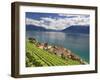 Switzerland, Vaud, Lavaux Vineyards, St; Saphorin Village and Lac Leman / Lake Geneva-Michele Falzone-Framed Photographic Print