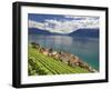 Switzerland, Vaud, Lavaux Vineyards, St; Saphorin Village and Lac Leman / Lake Geneva-Michele Falzone-Framed Photographic Print