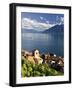 Switzerland, Vaud, Lavaux Vineyards, St; Saphorin Village and Lac Leman / Lake Geneva-Michele Falzone-Framed Photographic Print