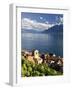 Switzerland, Vaud, Lavaux Vineyards, St; Saphorin Village and Lac Leman / Lake Geneva-Michele Falzone-Framed Photographic Print