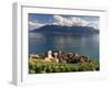 Switzerland, Vaud, Lavaux Vineyards, St; Saphorin Village and Lac Leman / Lake Geneva-Michele Falzone-Framed Photographic Print